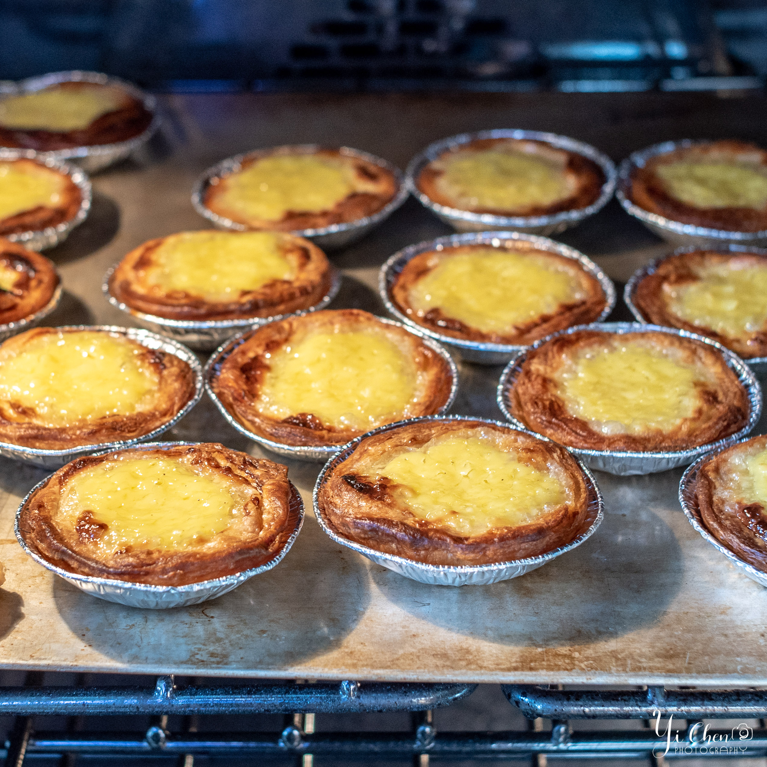 Pastel de Nata Tins (Egg Tart Tins) - Made in Portugal Out of Galvanized Steel - Includes Pastéis de Nata Print Postcard and Downloadable Recipe - Set